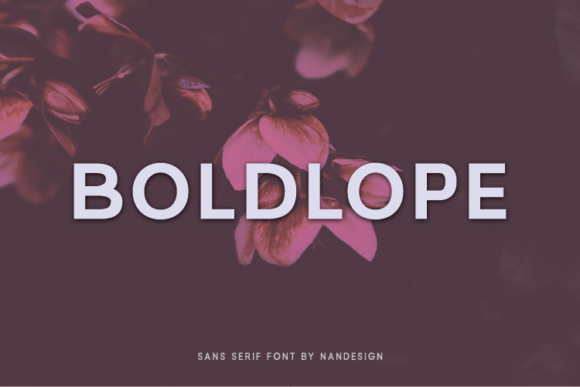 Boldlope: The Minimal Sans Serif Font for Handmade Brands