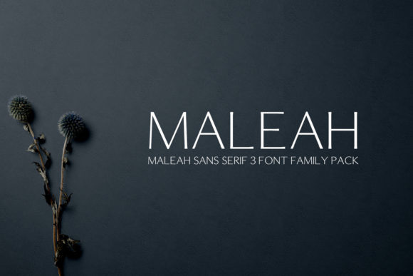 Maleah: A Modern Sans Serif Typeface for Clean Editorial Design