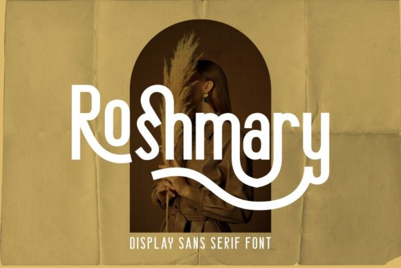 Roshmary: The Sans Serif Typeface That Elevates Campaign Clarity