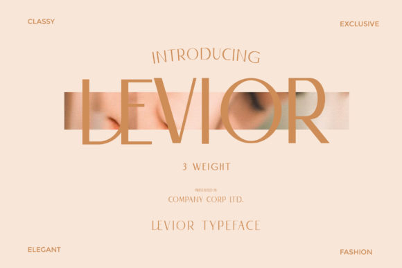 Why Levior Became My Go-To Sans Serif for Modern Web Layouts